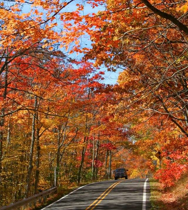Fall country road - Copy