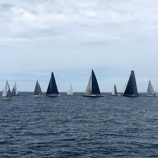 sailboat picture